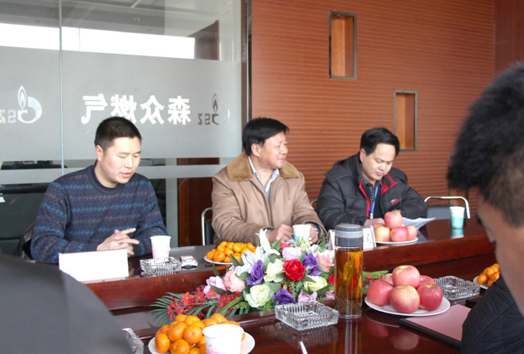 林口县政府与昆明常天公共事务咨询有限公司燃气项目洽谈.png